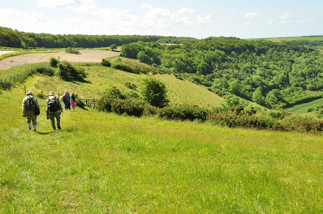07 06 15_4896.JPG - FONTMELL DOWN, DORSET - 7.6.15